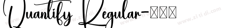 Quantify Regular字体转换